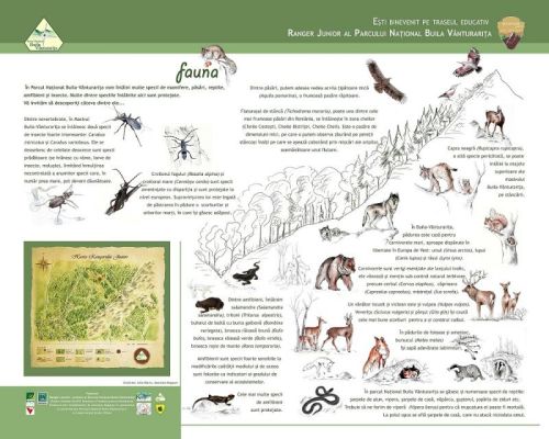 RJ_fauna_2009.jpg